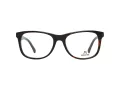 Rodenstock Briller R 5302 B