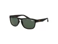 Superdry Solbriller SDS Rockstar 122