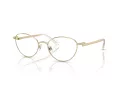 Swarovski Briller SK 1002 4004