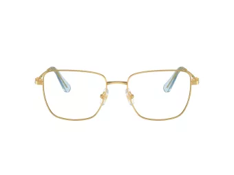 Swarovski Briller SK 1003 4021