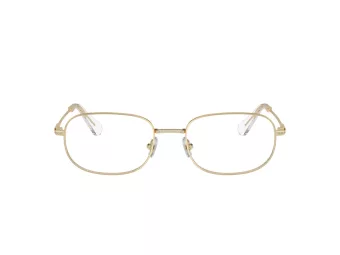 Swarovski Briller SK 1005 4013