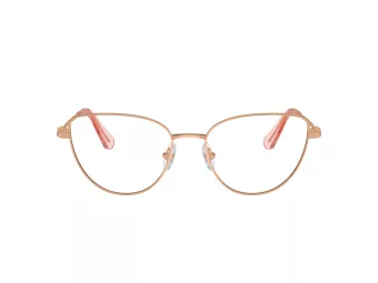 Swarovski Briller SK 1007 4014