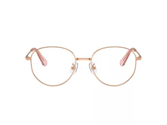 Swarovski Briller SK 1016D 4014