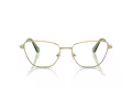 Swarovski Briller SK 1018 4017