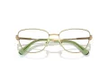 Swarovski Briller SK 1018 4017