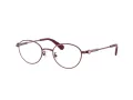Swarovski Briller SK 1028TD 4040