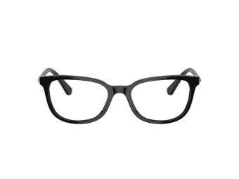 Swarovski Briller SK 2003 1001