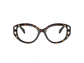 Swarovski Briller SK 2006 1002