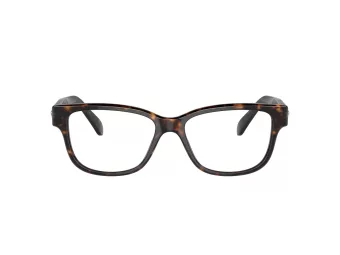 Swarovski Briller SK 2007 1002