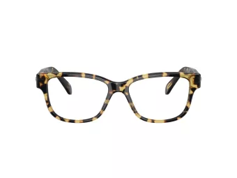 Swarovski Briller SK 2007 1009