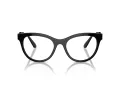 Swarovski Briller SK 2025 1001
