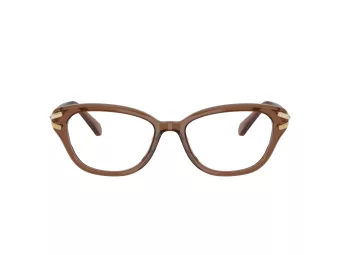Swarovski Briller SK 2032 1067