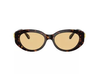 Swarovski Solbriller SK 6002 1002/8