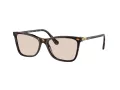 Swarovski Solbriller SK 6004 1002M4