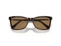 Swarovski Solbriller SK 6004 1002M4