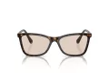 Swarovski Solbriller SK 6004 1002M4