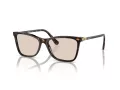 Swarovski Solbriller SK 6004 1002M4