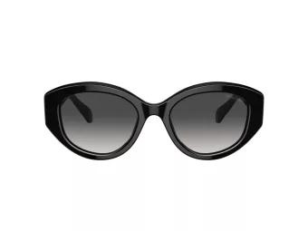 Swarovski Solbriller SK 6005 10018G
