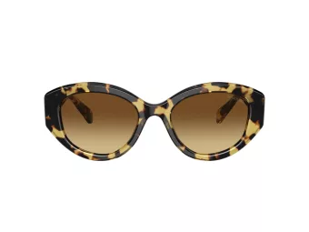 Swarovski Solbriller SK 6005 100913