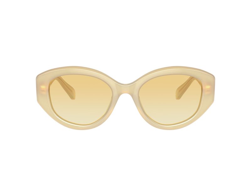 Swarovski Solbriller SK 6005 10232Q