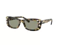 Swarovski Solbriller SK 6008 1009/2