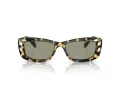 Swarovski Solbriller SK 6008 1009/2