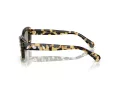 Swarovski Solbriller SK 6008 1009/2