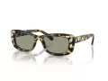 Swarovski Solbriller SK 6008 1009/2