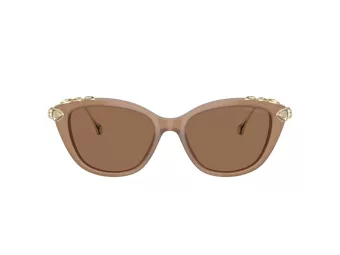 Swarovski Solbriller SK 6010 2002OK