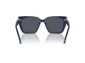 Swarovski Solbriller SK 6013 101887