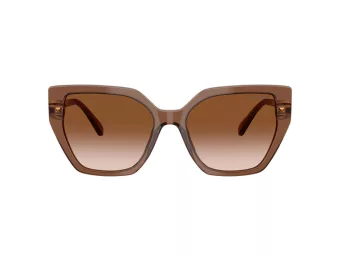 Swarovski Solbriller SK 6016 106713