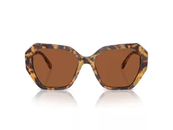 Swarovski Solbriller SK 6017 100473