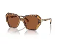 Swarovski Solbriller SK 6017 100473