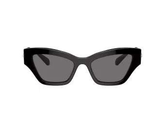 Swarovski Solbriller SK 6021 100181