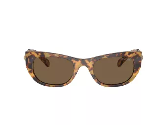 Swarovski Solbriller SK 6022 104073