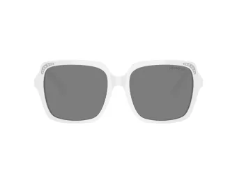 Swarovski Solbriller SK 6034D 105087