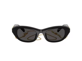 Swarovski Solbriller SK 6036U 107687