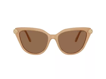 Swarovski Solbriller SK 6039 2002OK