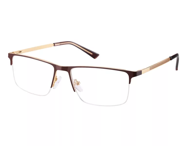 Berkeley Briller 868D