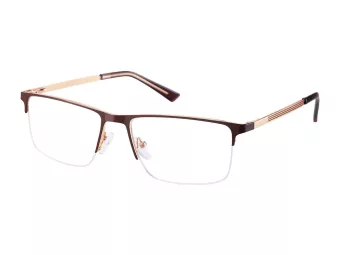 Berkeley Briller 868E