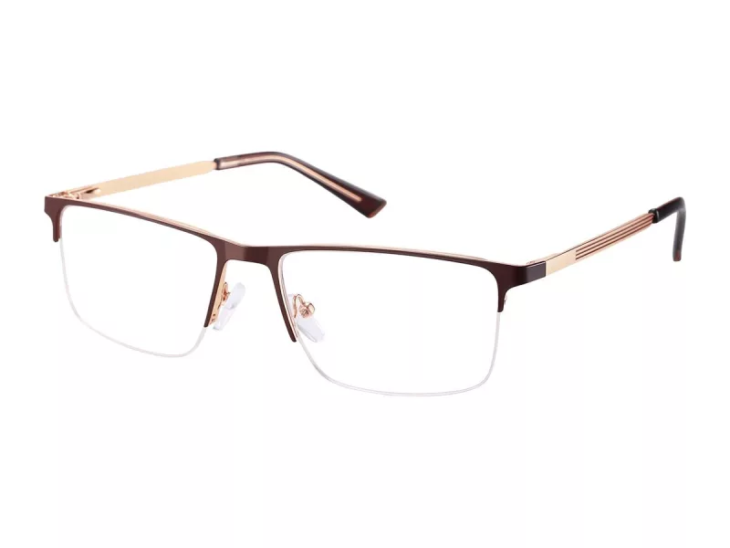 Berkeley Briller 868E