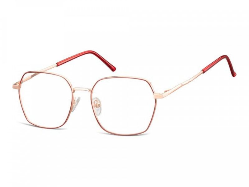 Berkeley Briller 913