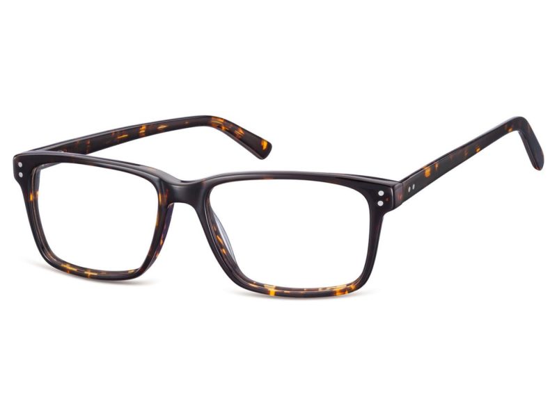 Berkeley Briller A85A