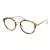 Taylor Morris Briller SW 14 C3