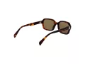 Ted Baker Solbriller TB 1697 101