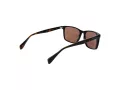 Ted Baker Solbriller TB 1728 001