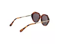 Ted Baker Solbriller TB 1731 188