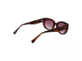 Ted Baker Solbriller TB 1737 100