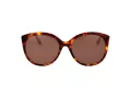 Ted Baker Solbriller TB 1741 100