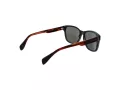 Ted Baker Solbriller TB 1753 599